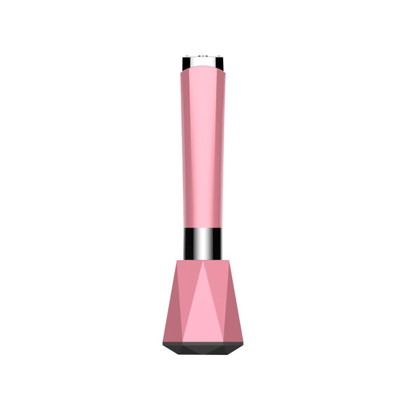 Handheld Facial Beauty Device